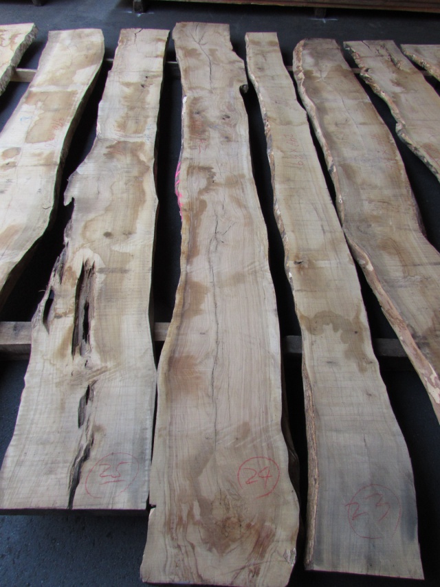 オリーブ　無垢材