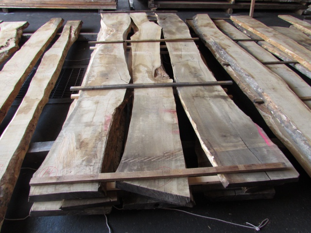 オリーブ　無垢材