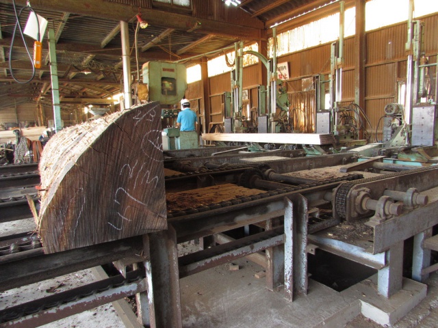 スプルース　無垢材