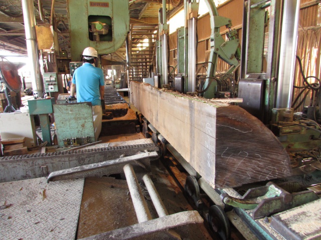 スプルース　無垢材