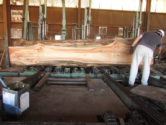 メタセコイア　無垢材