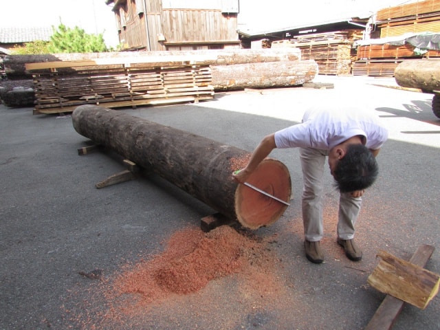 ケンパス　丸太