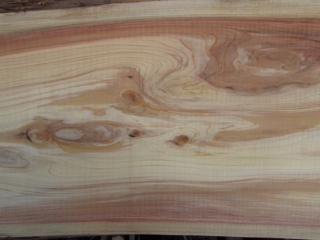 メタセコイア　無垢材