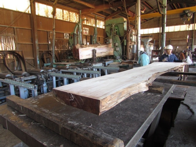 メタセコイア　無垢材