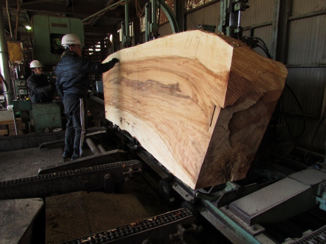 栃（トチ）　無垢材