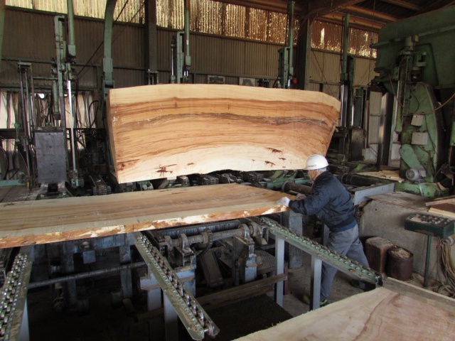 栃（トチ）　無垢材