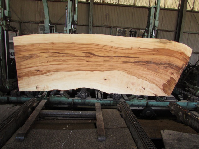 栃（トチ）　無垢材