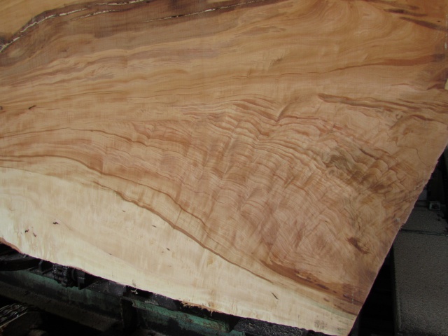 栃（トチ）　無垢材