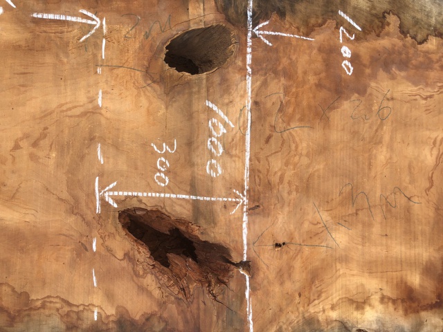 チェリー　一枚板