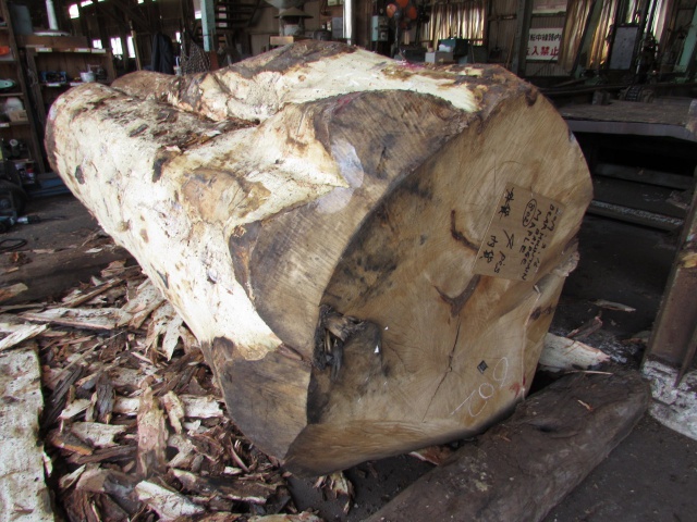 ソフトメープル丸太