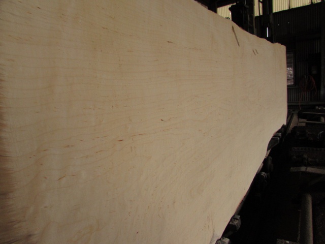 ソフトメープル　天板