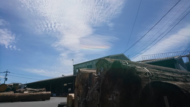 高田製材所 木材