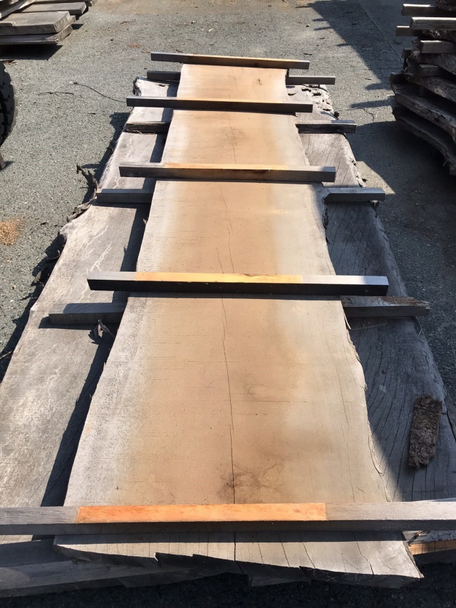 椨(タブ) 無垢材