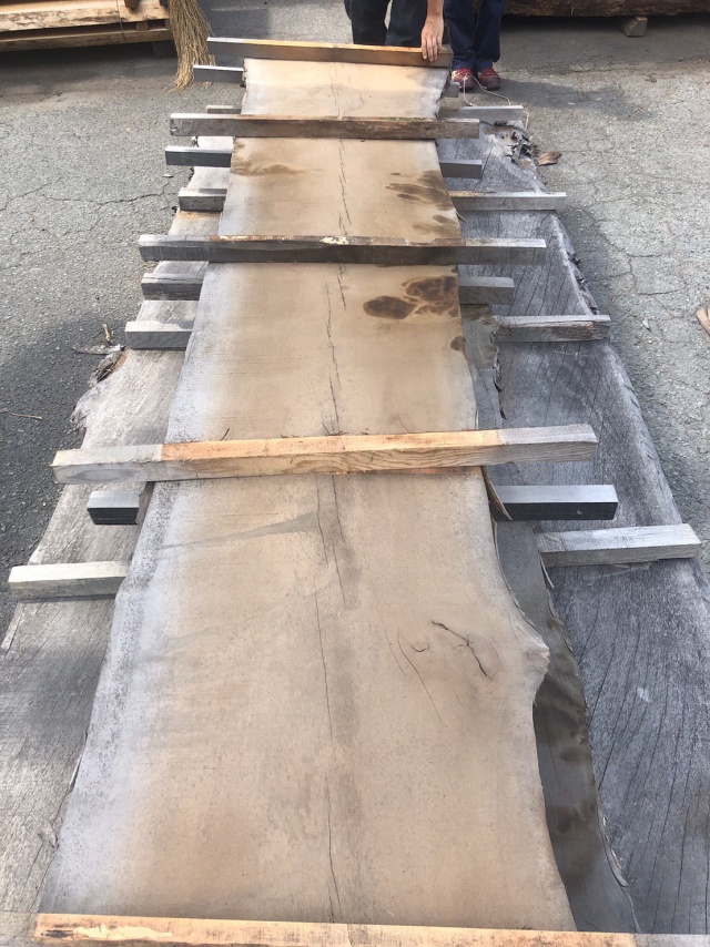 椨(タブ) 無垢材