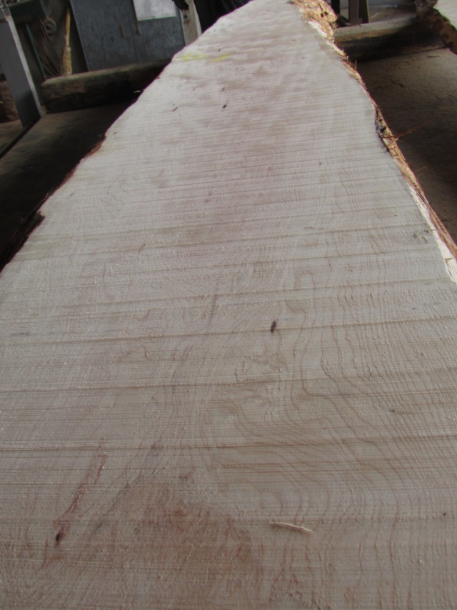 浅田（アサダ）　無垢