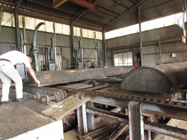 パープルハート