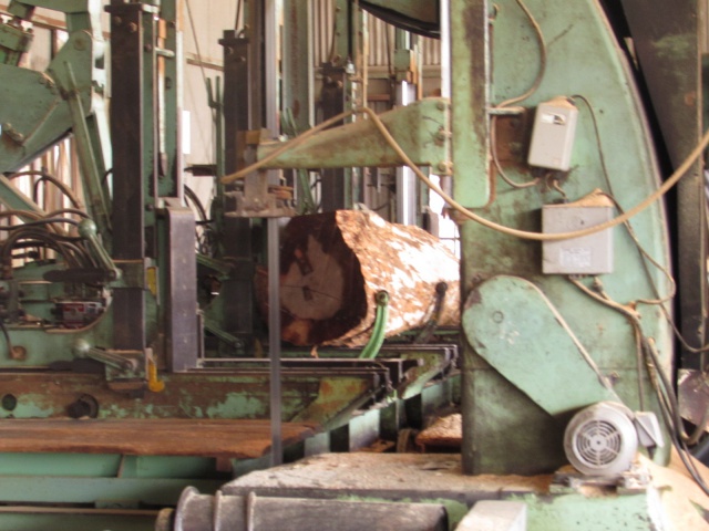 浅田（アサダ）　無垢材