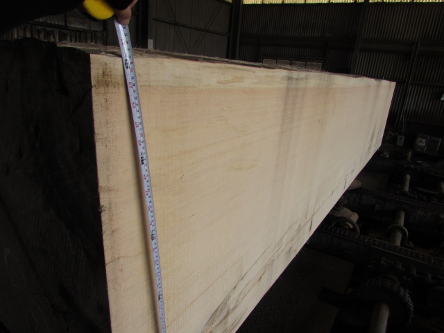 スプルース 無垢材