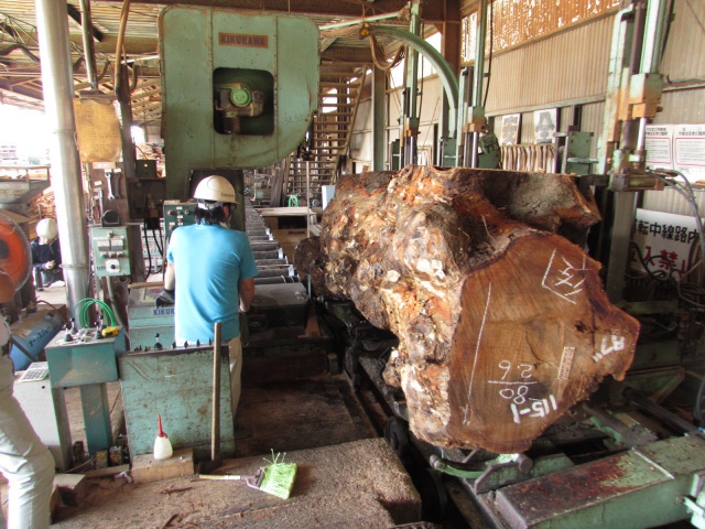 椨（タブ）　無垢材