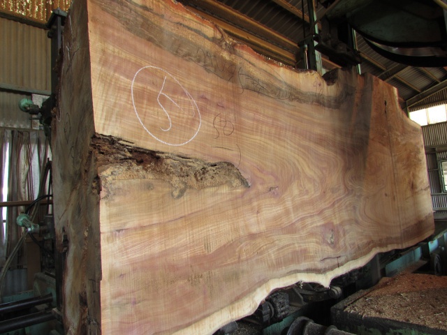 椨（タブ）　無垢材