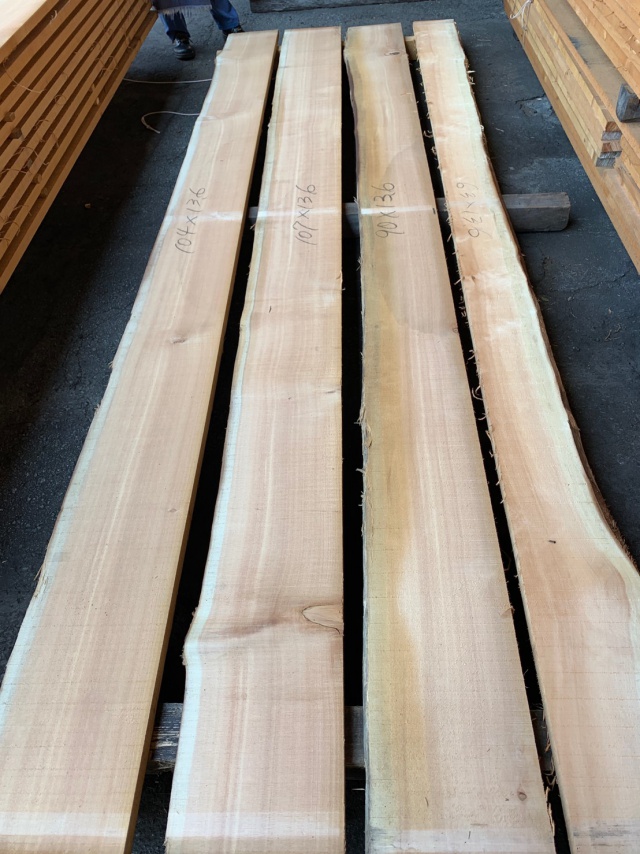 スプルース　無垢材