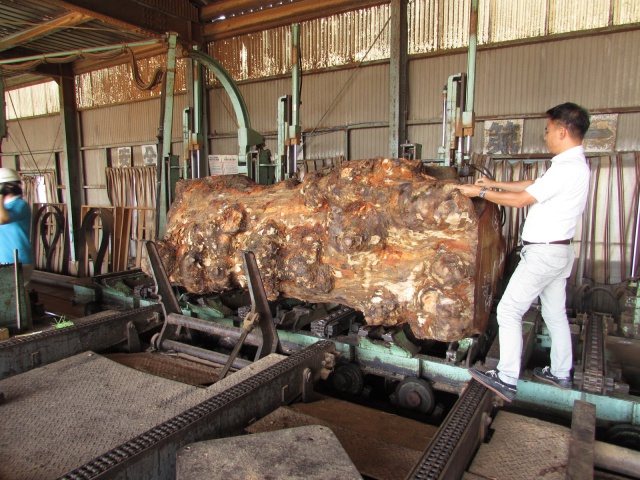 椨（タブ）　無垢材