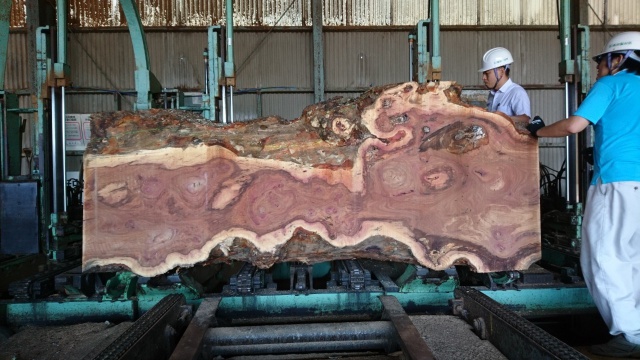 椨（タブ）　無垢材