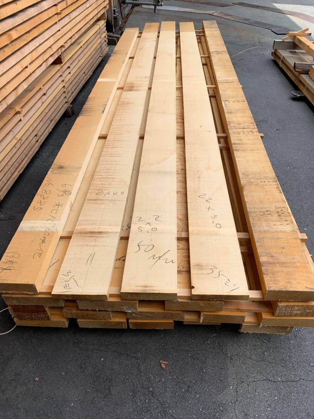 米檜葉（ベイヒバ）　無垢材