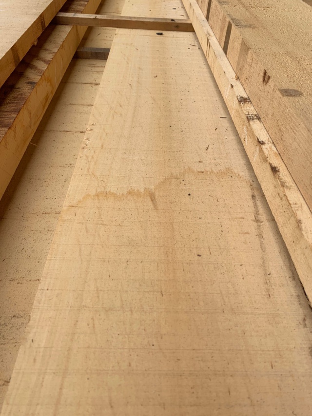 米檜葉（ベイヒバ）　無垢材