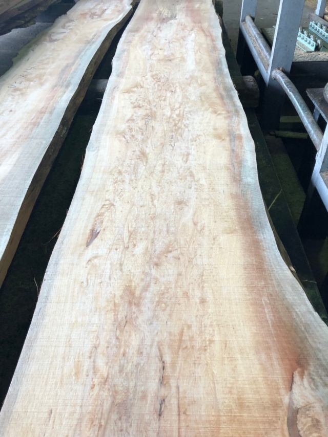 ペルポック　無垢材