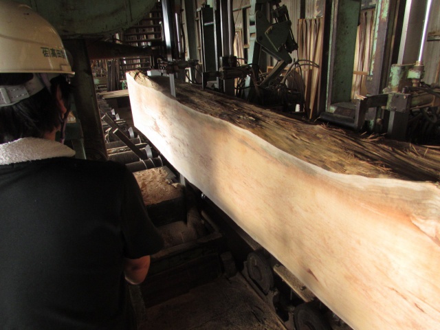 ペルポック　無垢材