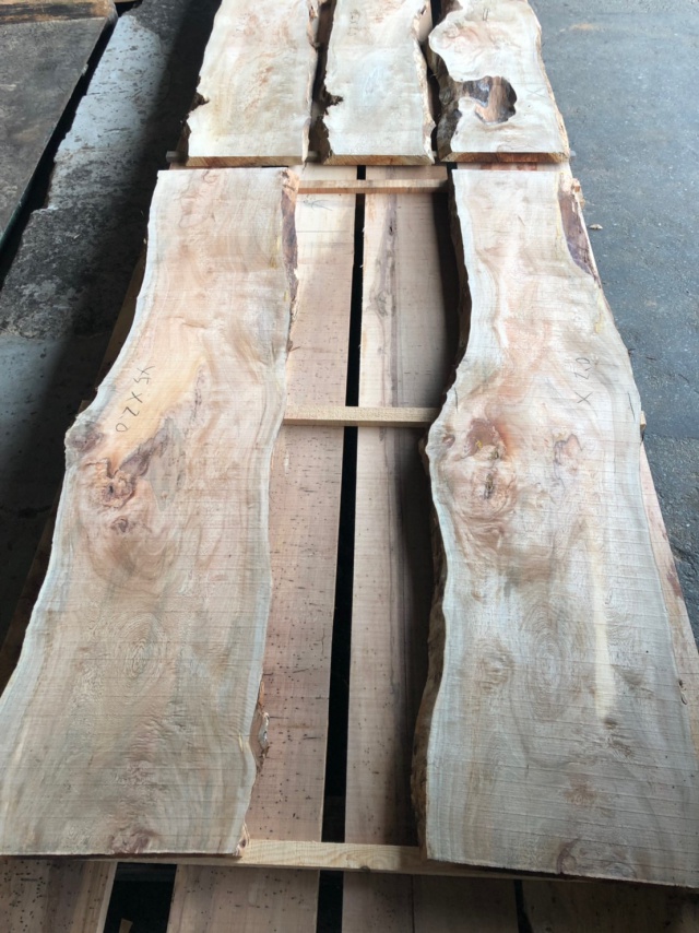 ペルポック　無垢材