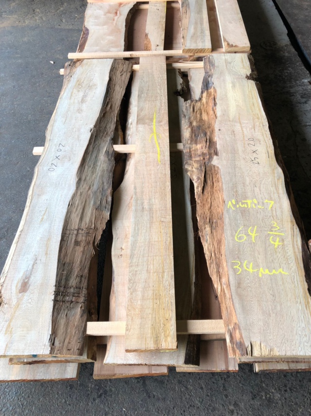 ペルポック　無垢材