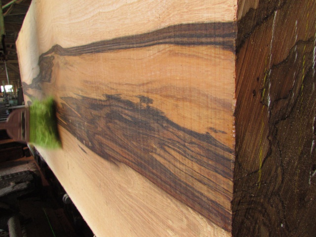 マンゴ　無垢材