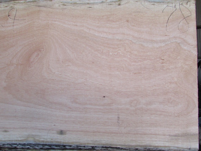 マンゴ　無垢材