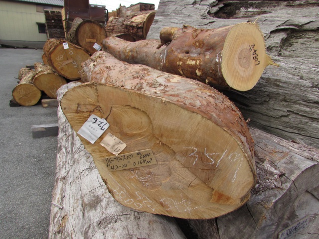 百日紅（サルスベリ）　丸太