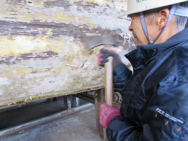 マンゴ　無垢材