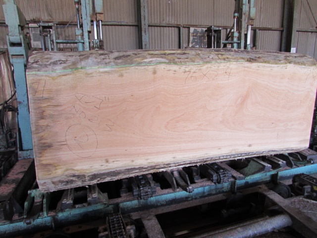 マンゴ　無垢材