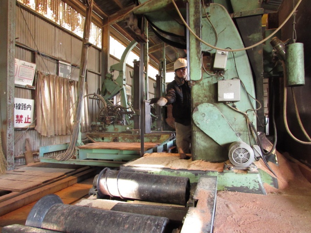 マンゴ　無垢材