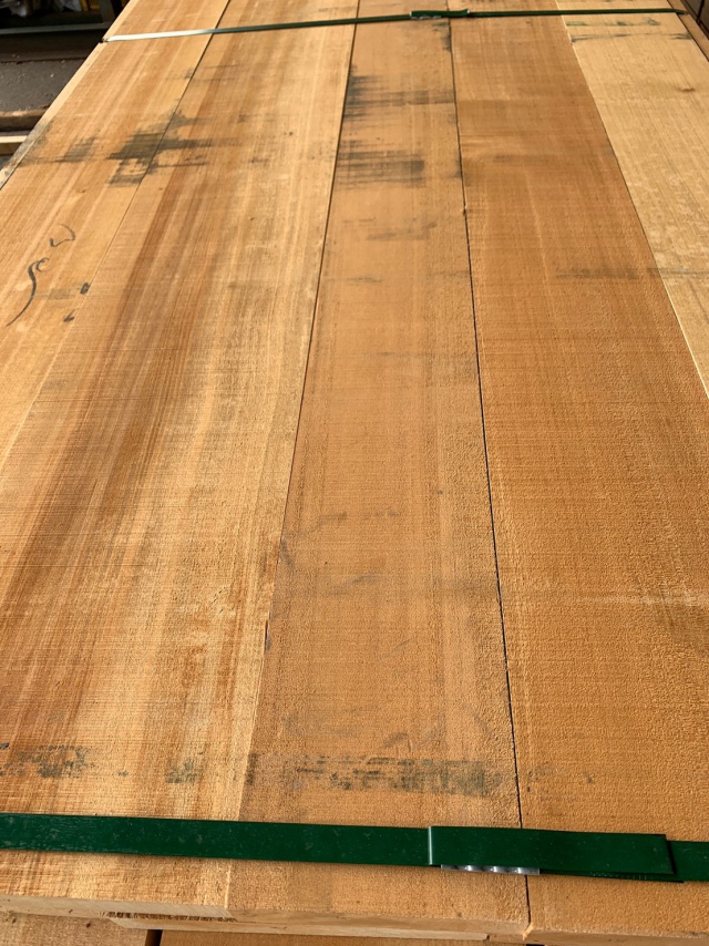 アガチス　無垢材