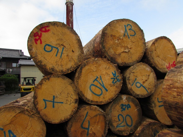 ヨーロピアンスプルース　丸太