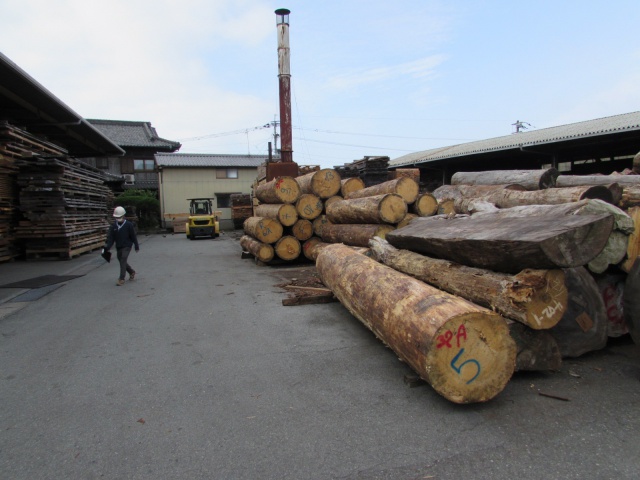 ヨーロピアンスプルース　丸太