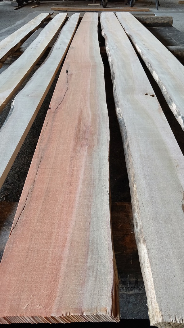 イエローハードウッド　無垢材