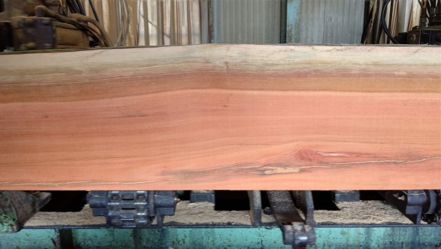 イエローハードウッド　無垢材