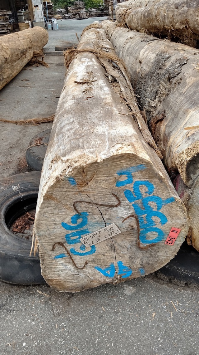 ガロガロ　丸太