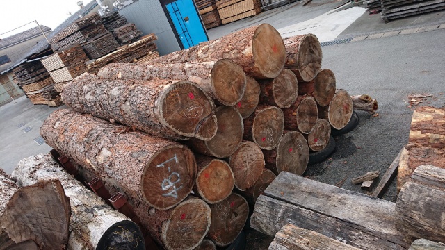 紅松(ベニマツ) 丸太