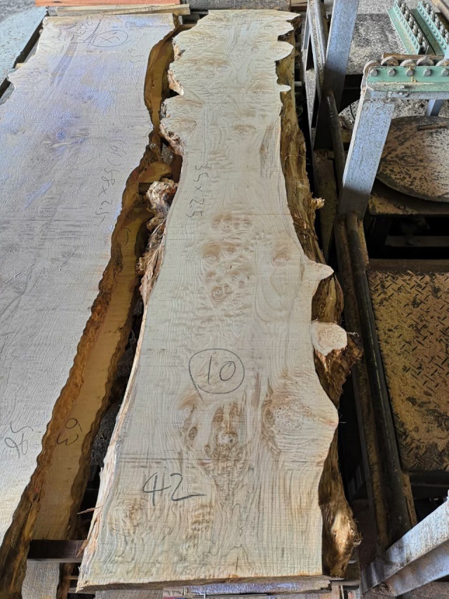 ビッグリーフメープル　無垢材