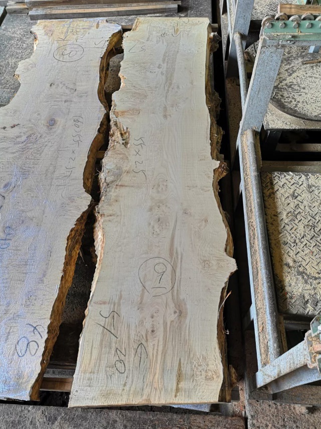 ビッグリーフメープル　無垢材