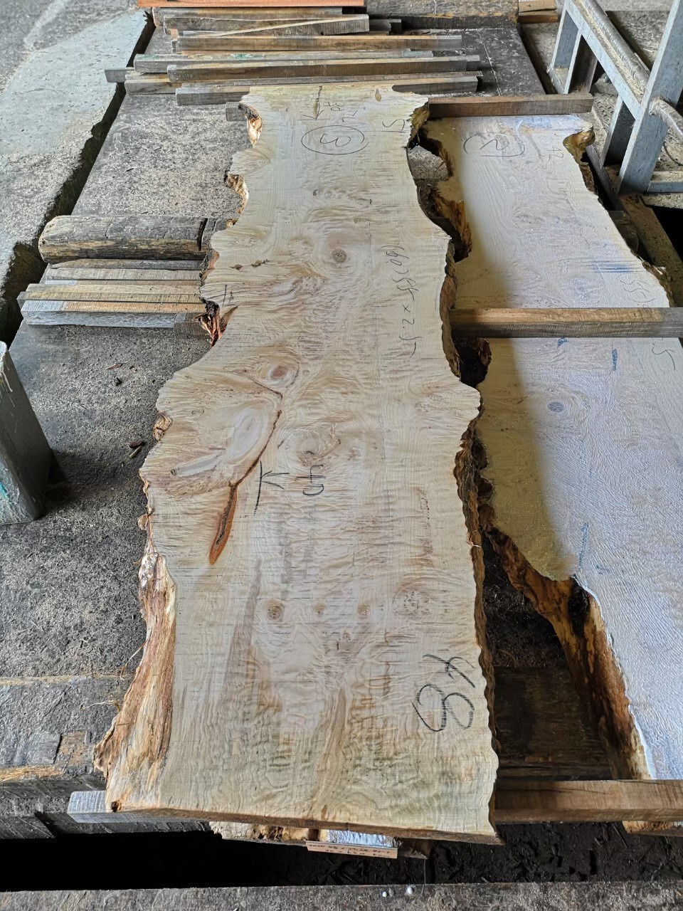 瘤杢入りメープル原木を製材しました。 | 無垢材 | 高田製材所ブログ