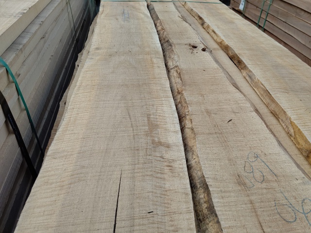 カーリーメープル　無垢材